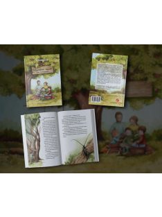   Németh-Gulyás Hajnalka: Tölgyeskövi mesék – Magyar Márton kalandjai mesekönyv